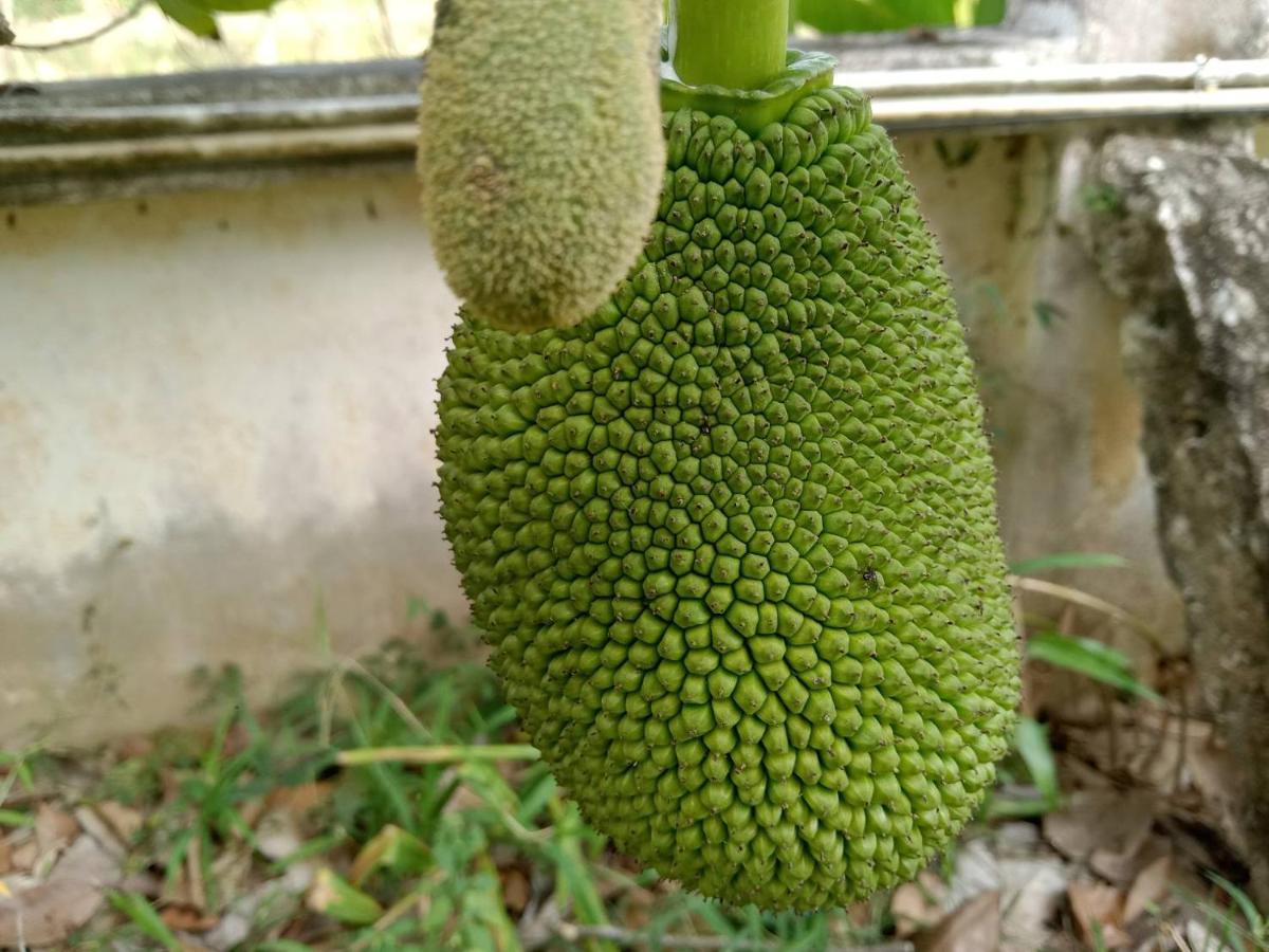 Ban Chang Klang Na Nong ap Chang Exterior foto